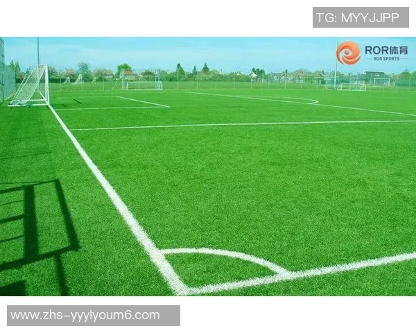 足球场草皮价格揭秘每平方米费用及影响因素分析