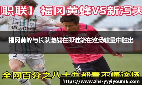 mile米乐m6