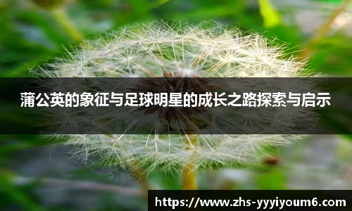 米乐M6官网